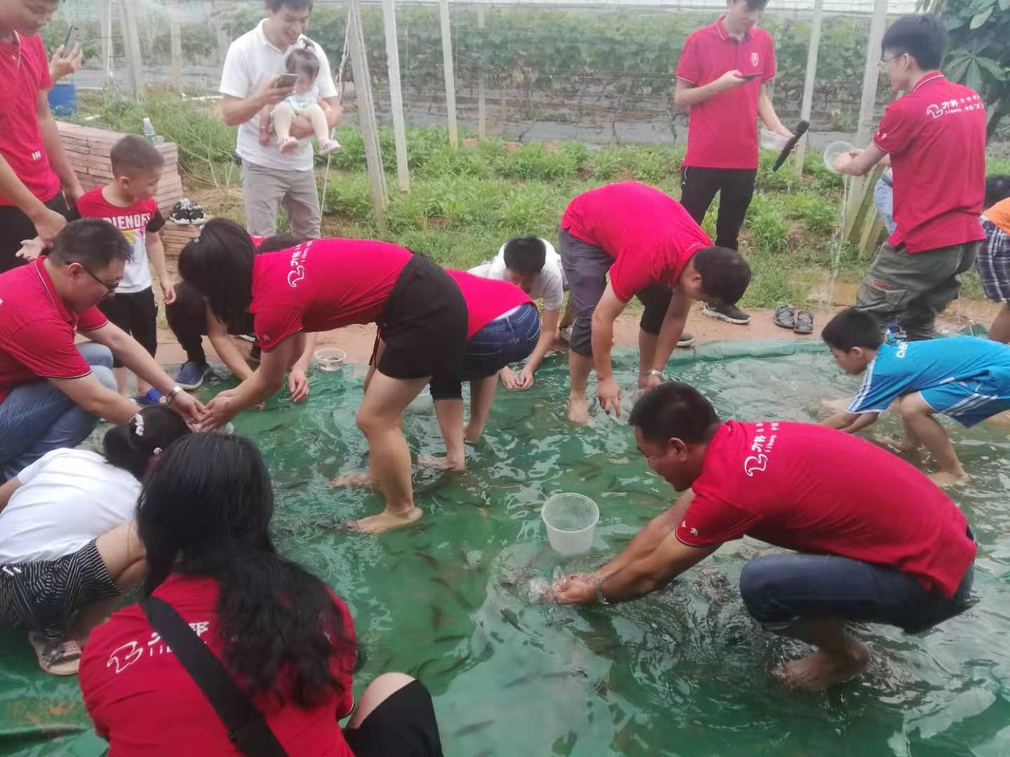 总结大会