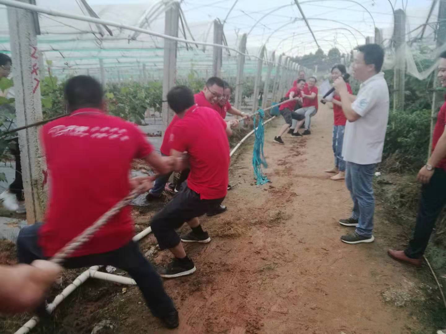 总结大会